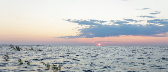 Similar image 22683256