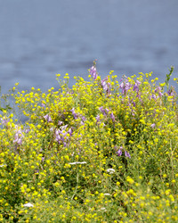 Similar image 22683288