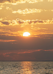 Similar image 22683305