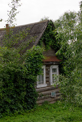 Similar image 22683316