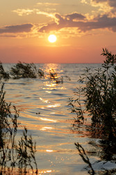 Similar image 22683318