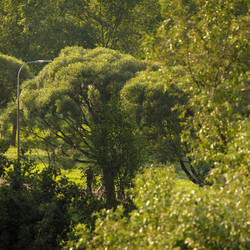 Similar image 22683346