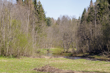 Similar image 22683349