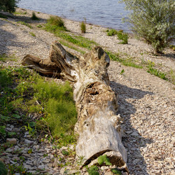 Similar image 22683363