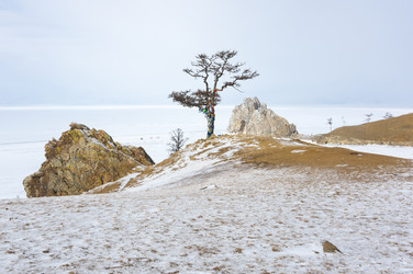 Similar image 22682534