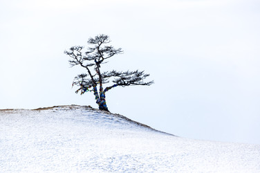 Similar image 22682541