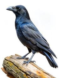 Similar image 22692113