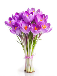 Similar image 22696869