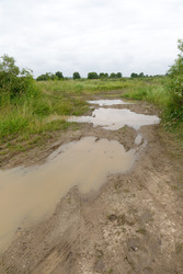 Similar image 22683153
