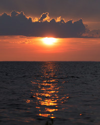 Similar image 22683167