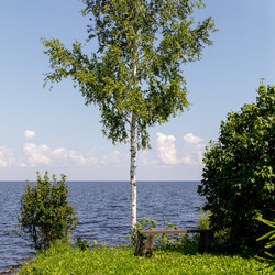 Similar image 22683199