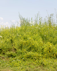 Similar image 22683225