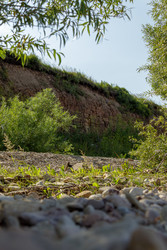 Similar image 22683259