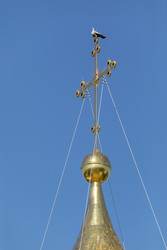 Similar image 22683276
