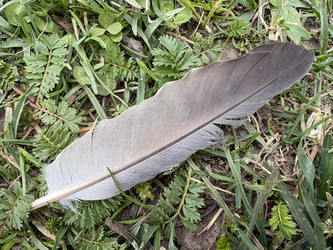 Similar image 22682329