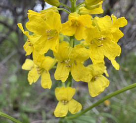 Similar image 22682337