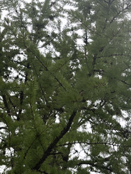 Similar image 22682349