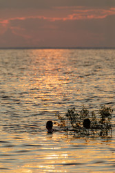 Similar image 22683543