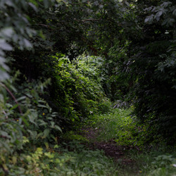 Similar image 22683544