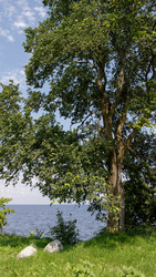Similar image 22683578