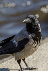 Similar image 22683605