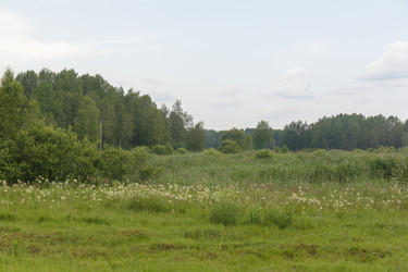Similar image 22683617