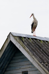 Similar image 22683618