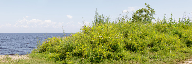 Similar image 22683623