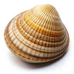 Similar image 22692119