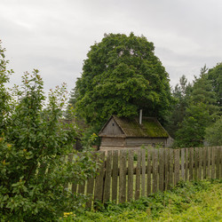 Similar image 22683157