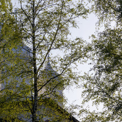Similar image 22683337