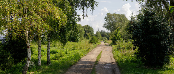 Similar image 22683353