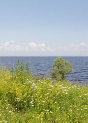 Similar image 22683380