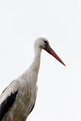 Similar image 22683422