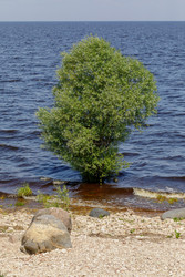 Similar image 22683636