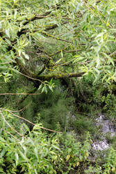 Similar image 22683646
