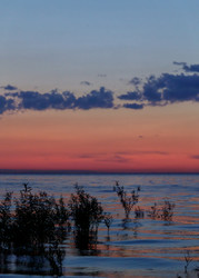 Similar image 22683247