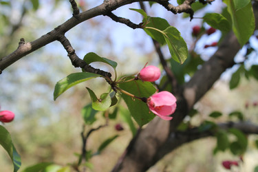 Similar image 22682370