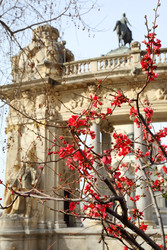 Similar image 22714112