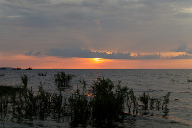 Similar image 22683548