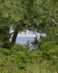 Similar image 22683610