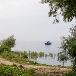 Similar image 22683324