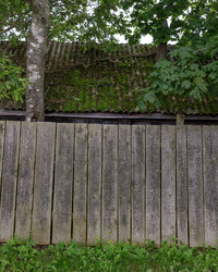 Similar image 22683344