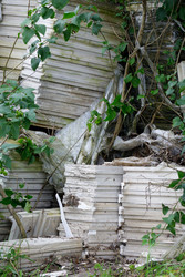 Similar image 22683373