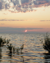 Similar image 22683400