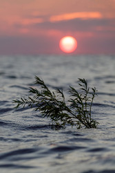 Similar image 22683414