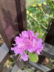 Similar image 22684277