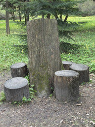 Similar image 22684278
