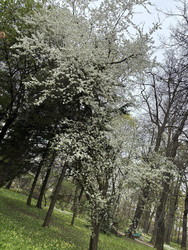 Similar image 22684288