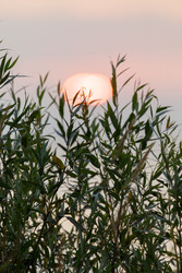 Similar image 22683673